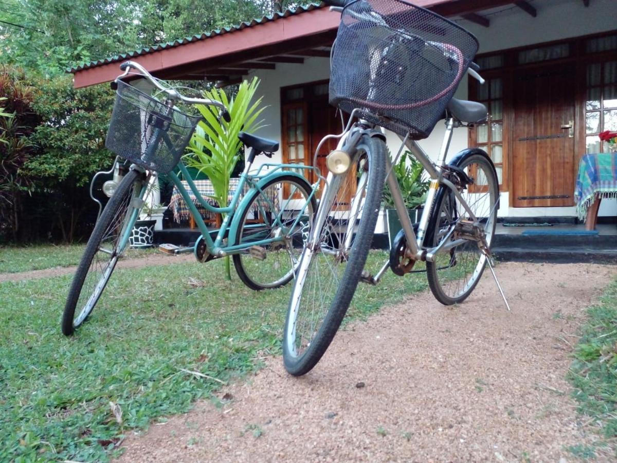 Sigiri Shen Residence Sigiriya Eksteriør bilde