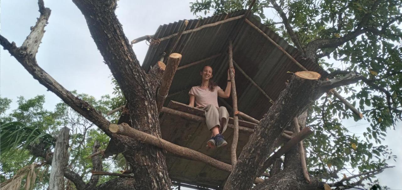 Sigiri Shen Residence Sigiriya Eksteriør bilde