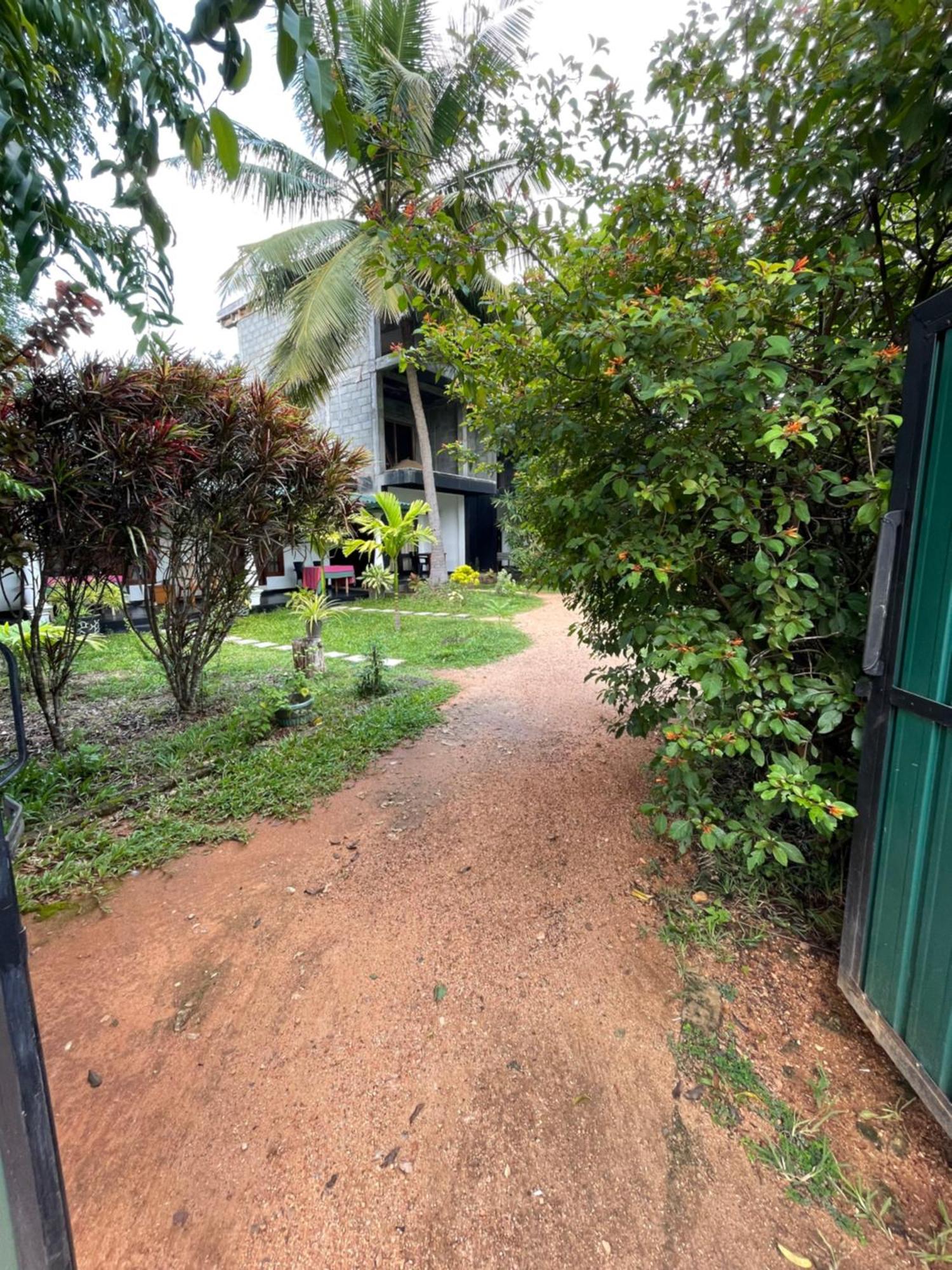 Sigiri Shen Residence Sigiriya Eksteriør bilde