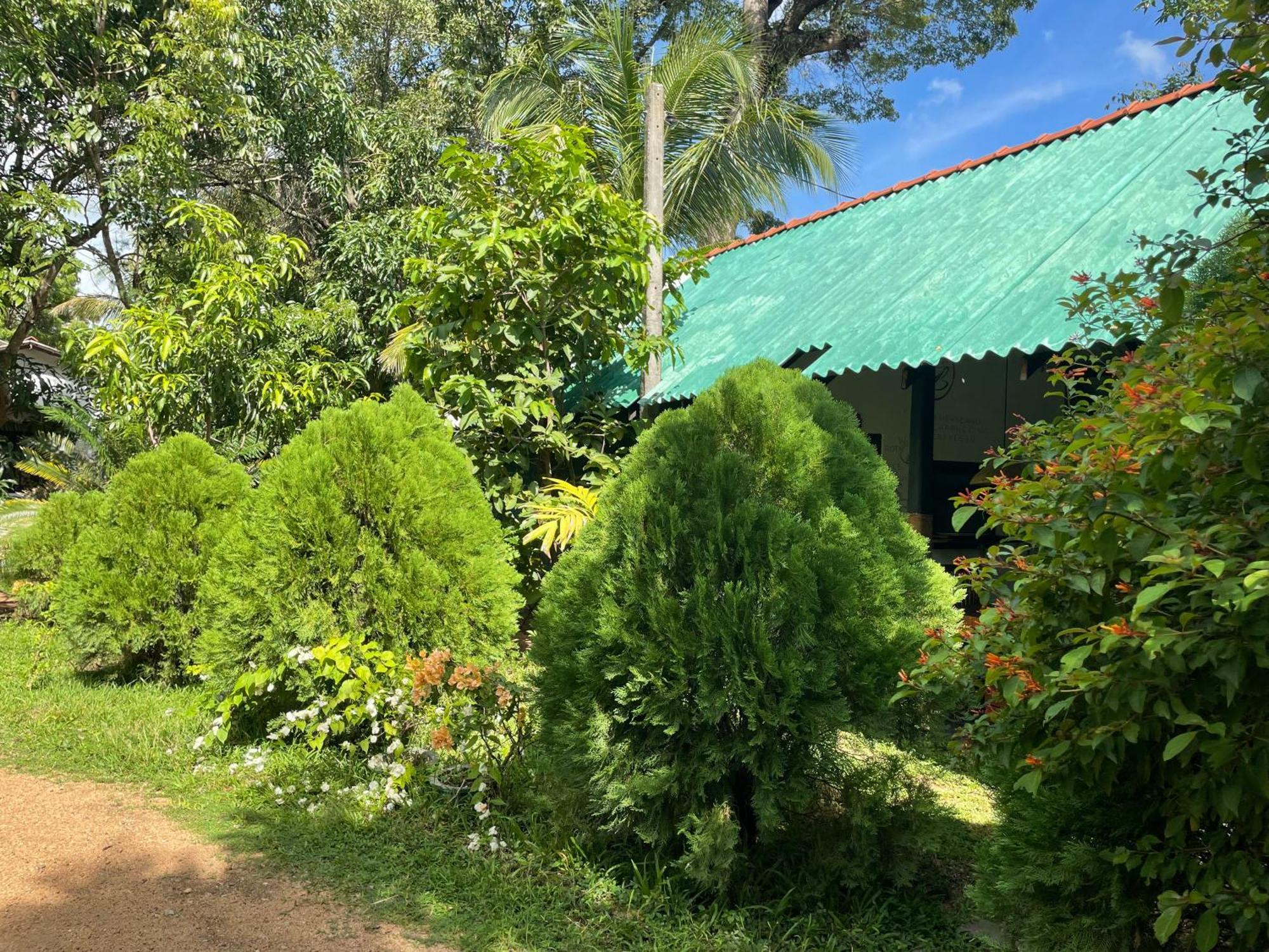 Sigiri Shen Residence Sigiriya Eksteriør bilde
