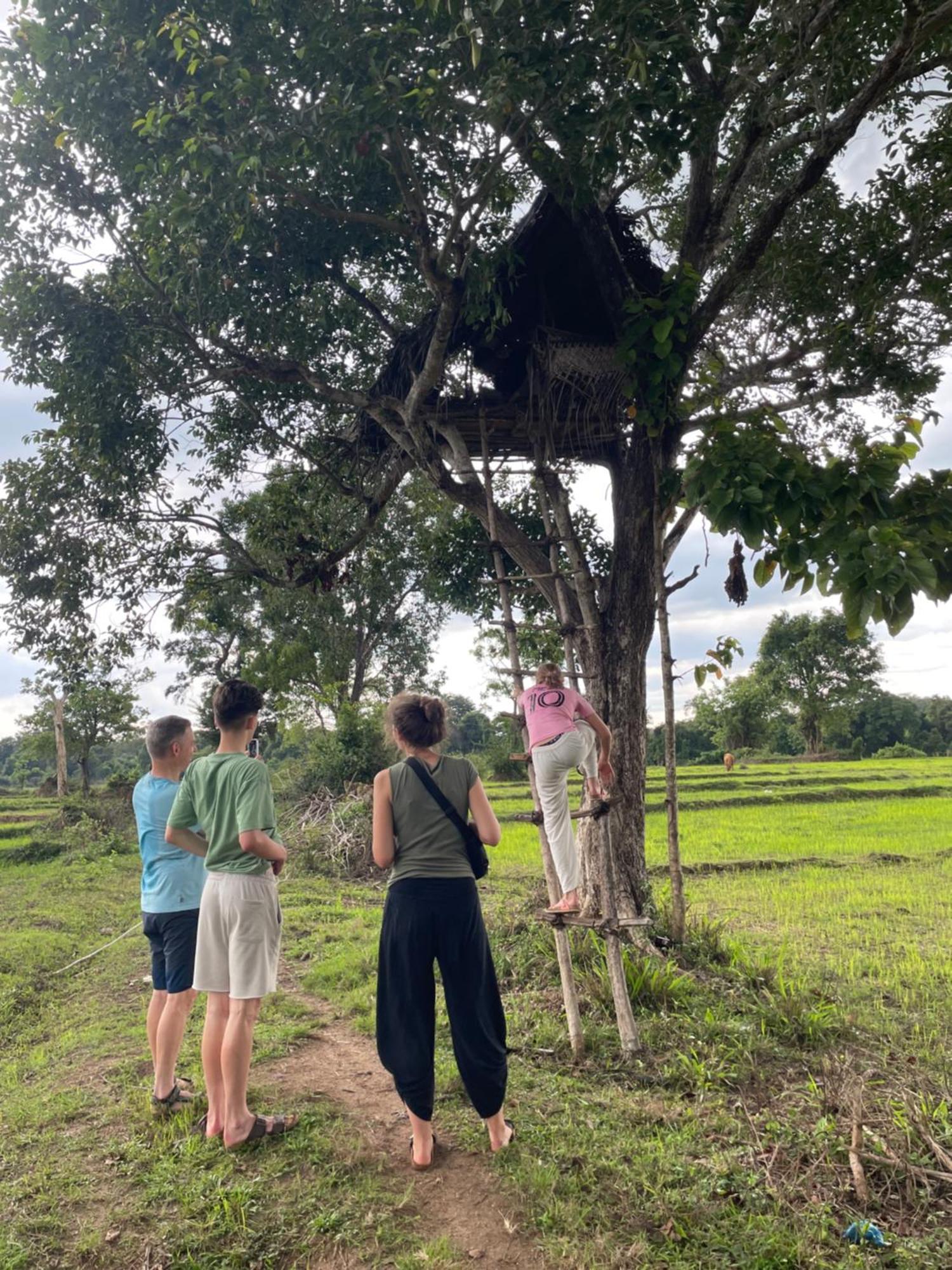 Sigiri Shen Residence Sigiriya Eksteriør bilde