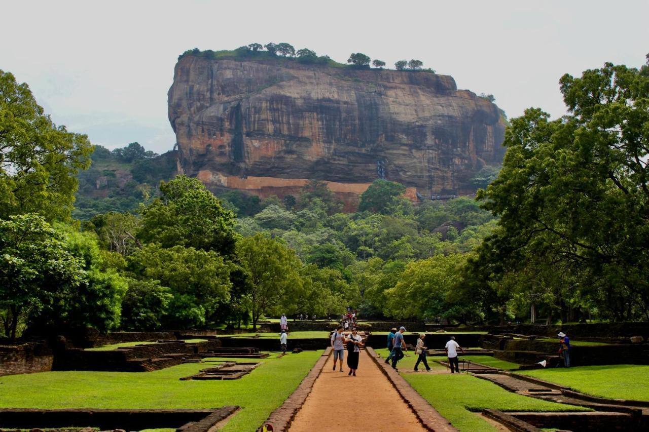 Sigiri Shen Residence Sigiriya Eksteriør bilde