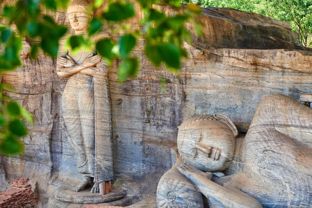 Sigiri Shen Residence Sigiriya Eksteriør bilde