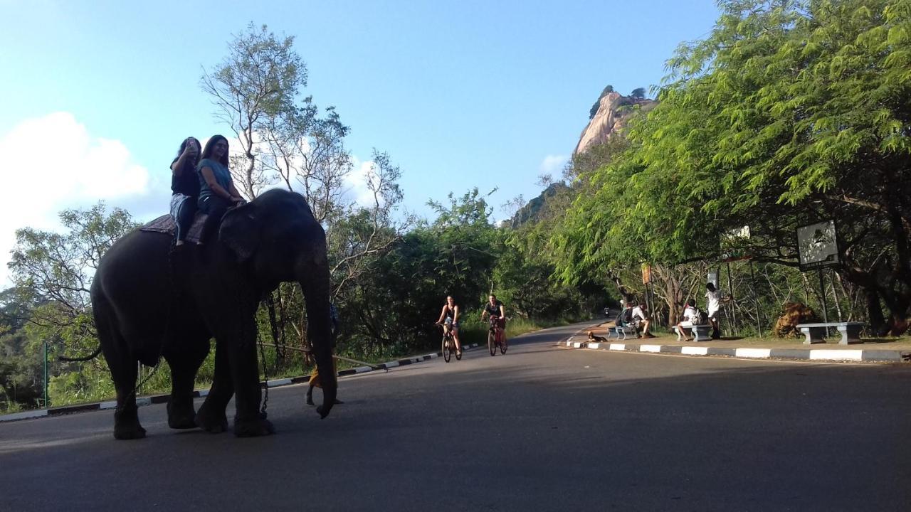 Sigiri Shen Residence Sigiriya Eksteriør bilde